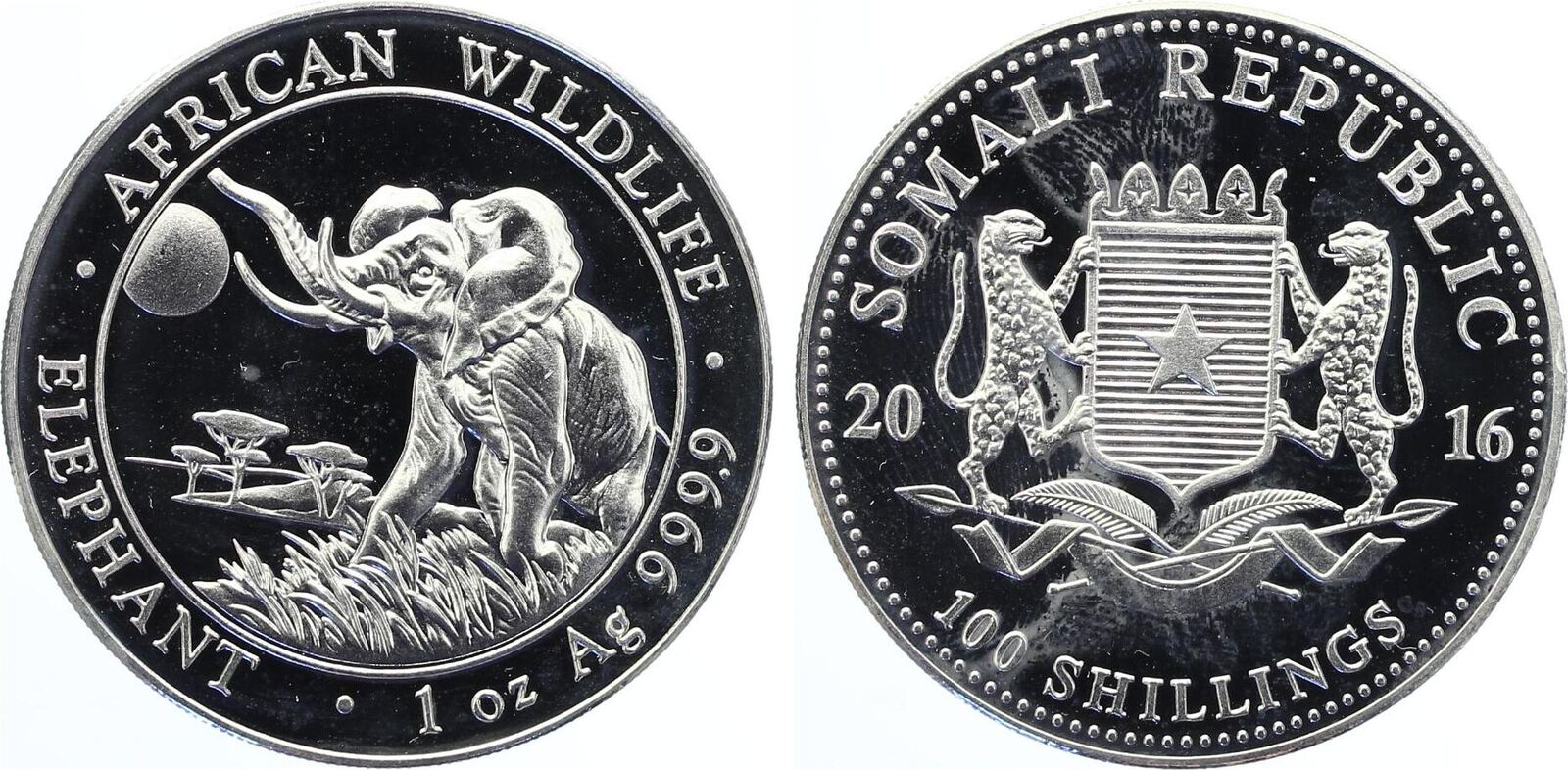 2016 100 Schilling Shillings Somalia Silber African Wildlife Elefant 1