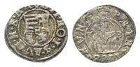 Haus Habsburg, Denar 1588 KB, Kremnitz, Rudolph II., 1576-1612,
