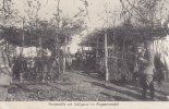 Argonnerwald/Frankreich Ansichtskarte/Postkarte/Pferdeställe mit Stallgasse im Argonnerwald