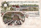 Lüdenscheid, Worth Litho/Gruss aus Lüdenscheid, Worth/Gustav Turck, Restaurant./Wintergarten mit...