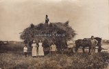 Deutsches Reich Ansichtskarte/Postkarte/Erntefest 1919.