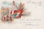 Niederlande Litho/Souvenir Kroningsjaar 1898