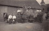 Drittes Reich Fotokarte/Landwirtschaft/Guott help!