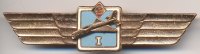 DDR  1974/85 2 Klassifizierungsabzeichen f&uuml;r Flugzeugf&uuml;hrer/Hubschrauber... 32,00 EUR 