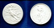 DDR/Schwerin, Porzellan Medaille, 100 Jahre Staatliches Museum Schwerin, Picture