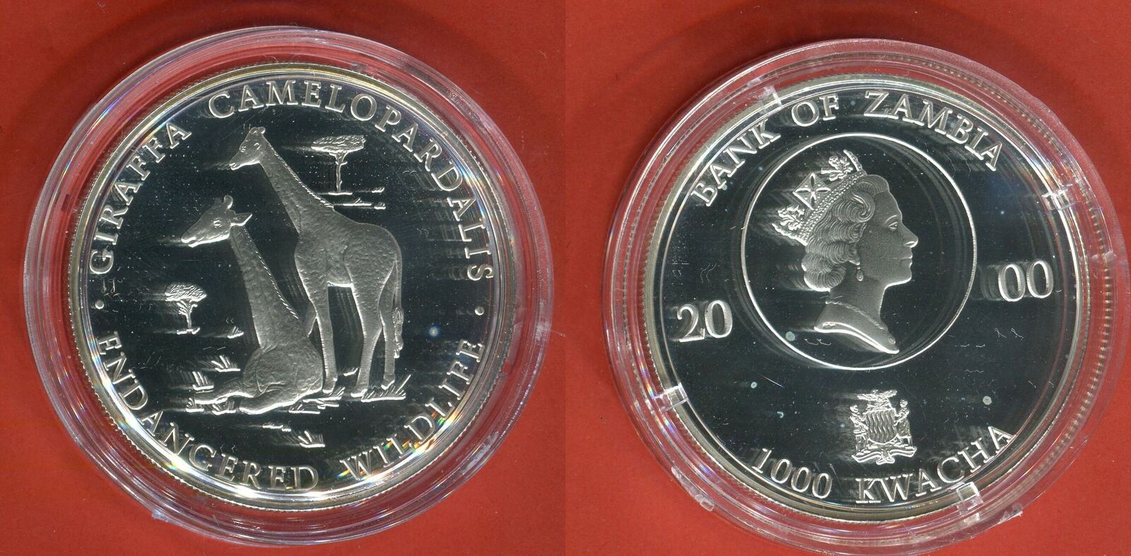 Zambia 1000 Kwacha 2000 Gefährdete Tierwelt Giraffe Proof with