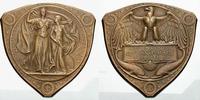 Vereinigte Staaten von Amerika St.Louis, Dreieckige Bronze-Preisplakett