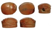 Egyptian Carnelian Scarab - New Kingdom