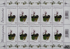Österreich 2013 - 10 x 0,62 ? Südsteiermark KLBG