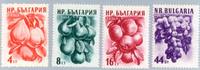 Bulgarien 1956 - Früchte