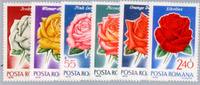 Rumänien 1970 - Edelrosen