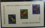 Bolivien Bolivien Block 15