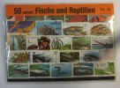 diverse 50 verschiedene Fische und Reptilien