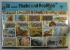 diverse 50 verschiedene Fische und Reptielien