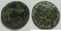 Sizilien AE 16 mm Kopf der Kore links Rs. Stier links