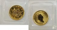 Kanada 1 $ 1/20 oz Gold