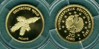Bundesrepublik Deutschland 20 Euro Deutscher Wald " Fichte " mit Echtheitszertifikat