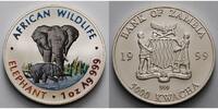 Sambia/Zambia 5000 Kwacha 1 oz Ø 39 mm Elefant - African Wildlife 1. Ausgabe farbig in Kapsel