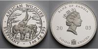 Sambia/Zambia 5000 Kwacha1 ozØ 39 mm Elefant - African Wildlife 5. Ausgabe in Kapsel
