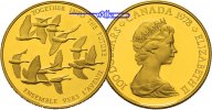 Kanada 100 Dollar, 15,55g fein, 27mm Ø Zwölf Kanadagänse, 1/2 Unze im originalem Etui & Zertifikat - Archivbild -