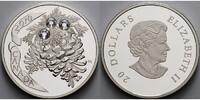 Kanada 20 $ 20 $ Kristall-Kiefernzapfen, changierende Swarowski-Kristalle - klar -Mondschein
