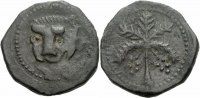 Normannen in Sizilien Trifollaro NM Normannen Sizilien Guglielmo II Trifollaro Messina Löwe Palme Spahr 117 #KN20