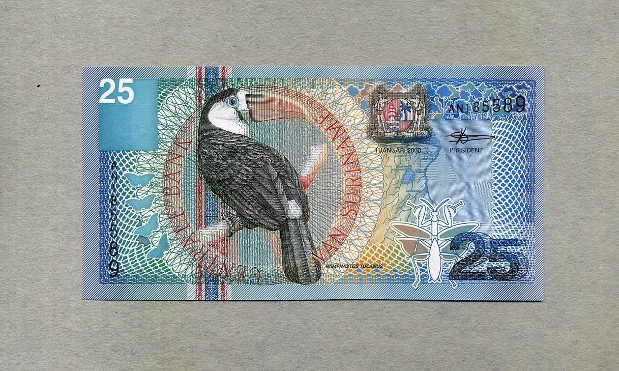 Купюры jamik. Банкноты с попугаями. Купюра с птичкой. Банкноты с птицами. Купюры Суринама.