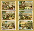 Liebigbilder-Bilder aus Venezuela Liebig 724# Picture