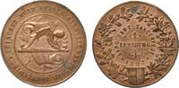 Schweiz Aargau Medaille Medaille, Aargauisches Kantonales Sängerfest Lenzburg 1892 -