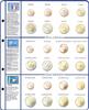 Lindner Vordruckblatt Euro Collection 8450-4 Neu -