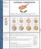 Lindner Vordruckblatt Euro Collection 8450-18 Zypern Neu -