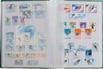 Leuchtturm Einsteckbuch Grün BASIC, DIN A4, 16 weiße Seiten 312361 Neu -