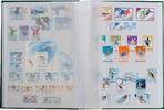 Leuchtturm Einsteckbuch Rot BASIC, DIN A4, 64 weiße Seiten 316445 Neu -