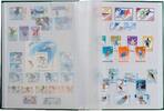 Leuchtturm Einsteckbuch Grün BASIC, DIN A4, 64 weiße Seiten 317477 Neu -