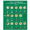 Safe Premium Münzblatt für 2€-Münzen der Jahre 2020/21 Nr. 7341-27 Neu -