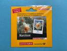Bund Bund Markenheftchen MiNr. MH 61 B b Narzisse - Text: 9 Ct je postfrisch MiNr. MH 61 B b Narzisse - Text: 9 Ct je Markenheftchen -