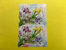 Russland Russland Folienblatt MiNr. 2965-2968 Flora Schwertlilien 2021 postfrisch MiNr. 2965-2968 Flora Schwertlilien 2021 Folienblatt -