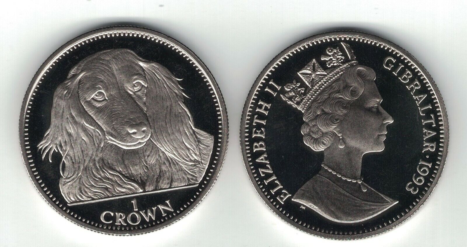 （アンティーク）1993年 ジブラルタル 1クラウン 銀貨 1 CROWN 1993 GIBRALTAR RARE UNC COIN YEAR DOG LONG HAIRED