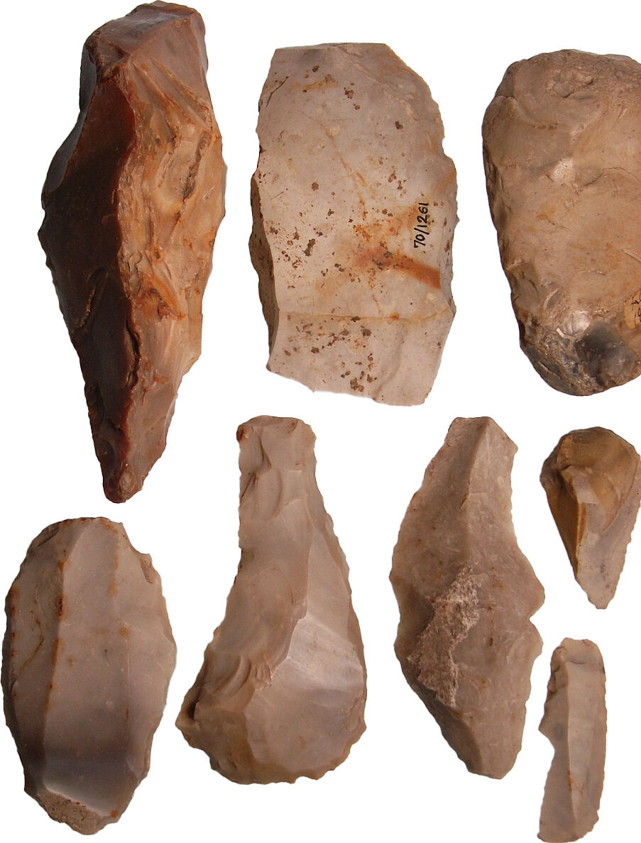 Neolithic Ertebølle culture collection, drill bit questions Stone Age Northern E