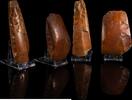   Pr&auml;historische Steinbeile  288.50 US$  +  40.39 US$ shipping