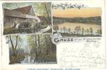 Brandenburg Postkarte Ansichtskarte Bremsdorfer Mühle, Schlaubethal , gel. 1906 , BBG -