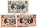 Notgeld AT 3 Scheine kpl. Kematen , Notgeld Set mit 3 Scheinen in kfr. K-K 431 , Notgeld 1920 Österreich -