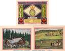 Notgeld DE 3 Scheine kpl. Oberhof , Notgeld Golfklub Set mit 3 Scheine in kfr. M-G 996.5 , TH von 1922 -