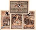 Seriennotgeld 4 Scheine kompl. Notgeld Tiefurt , Set mit 4 Scheinen kfr , braun , Mehl Grabowski 1323.1 , von 1921 , Thüringen Seriennotgeld -