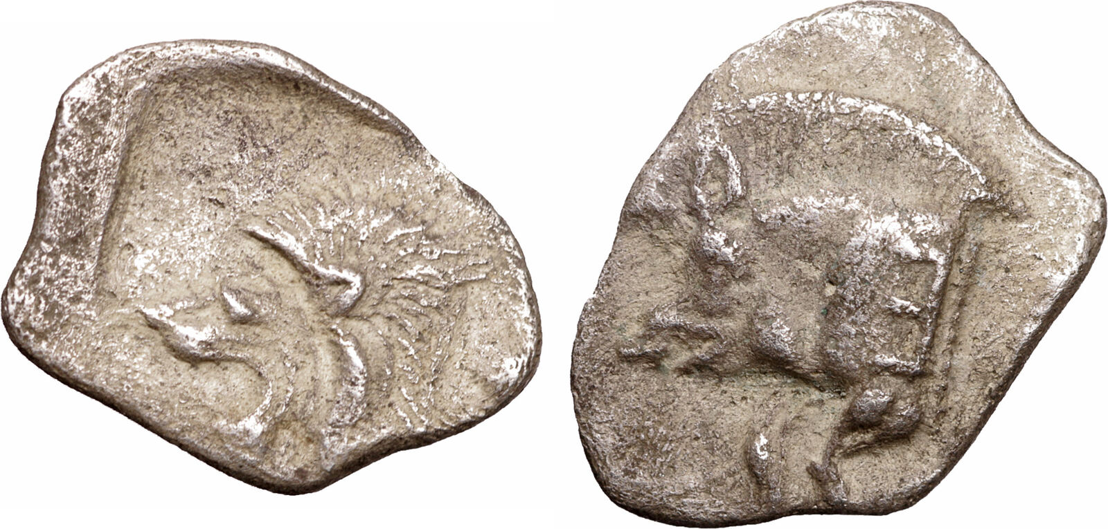 MYSIA Obol 480-400 B.C Cyzicus | MA-Shops