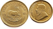 South-Africa 1/10 Krugerrand 1981 Gold UNC (Uncirculated)