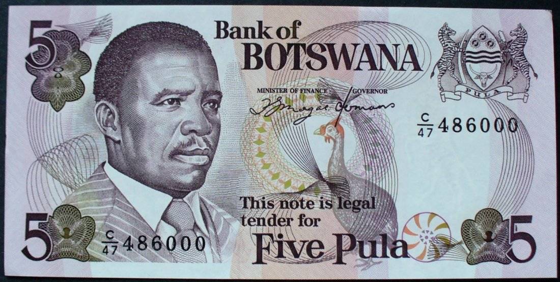 Image result for 5. Botswana's Pula