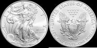 1 Dollar Bullion -