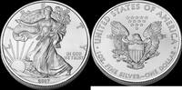 1 Dollar Bullion -