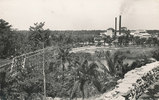 Angola Ansichtskarte, Catumbela, CasseQuel Sugar Factory, -